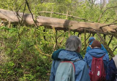 Percorso Marcia Guignicourt-sur-Vence - guignicourt sv - Photo