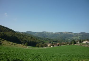 Tour Zu Fuß Yzeron - La Marmite du Diable - Photo