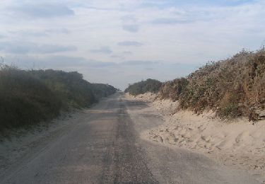 Percorso Marcia Cayeux-sur-Mer - LP80_Brighton_LeHourdel-(par-Route-Blanche)_8.5km - Photo
