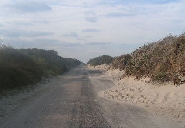 Randonnée Marche Cayeux-sur-Mer - LP80_Brighton_LeHourdel-(par-Route-Blanche)_8.5km - Photo