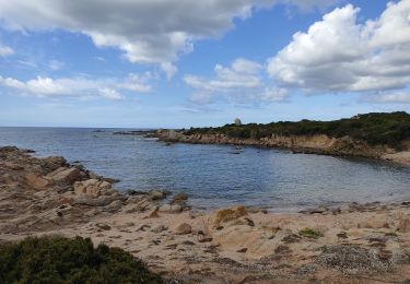 Trail Walking Figari - Punta Di Ventilegne - Photo