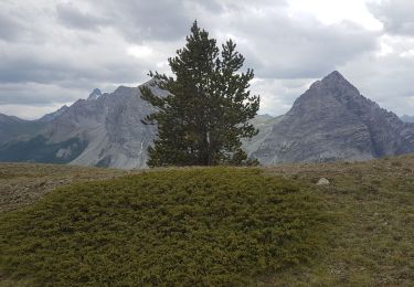 Excursión Senderismo Cervières - Le Grand Charvia - Photo