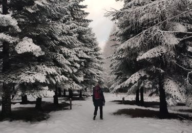 Tour Wandern Guéret - maupuy - Photo