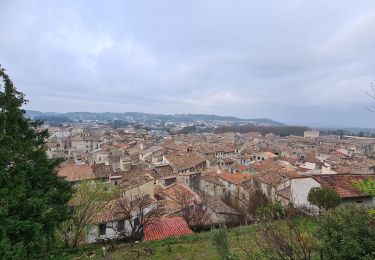 Tour Wandern Sommières - sommieres-aujargues-Manade - Photo