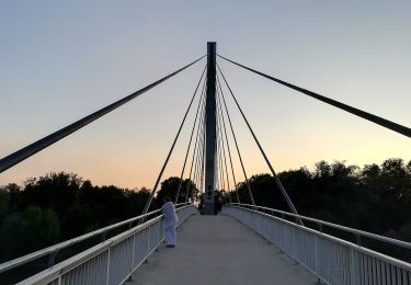 Tocht Te voet Bad Abbach - K3 Kurpark, Donaupromenade, Fußgängerbrücke, Schleuse BA und zurück - Photo