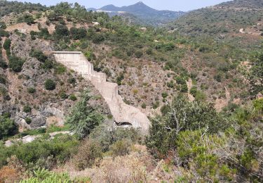 Tour Mountainbike Montauroux - barrage de Malpasset  - Photo