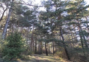 Trail Walking Laragne-Montéglin - Vieil Arzellier/Vieil Eyguians.21/02/21. - Photo