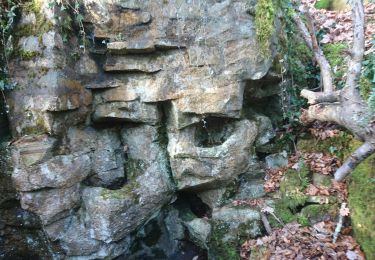 Trail Walking Fontainebleau - cabaret masson 22 février 2023  - Photo