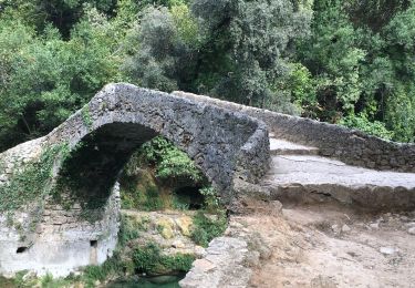 Tocht Stappen Montauroux - Montouroux-Pont des Tuves-Pont de Rey - Photo