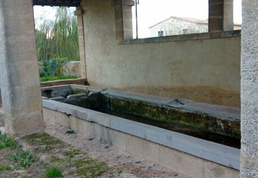 Percorso Marcia Aujargues - Aujargues Villevieille - Photo