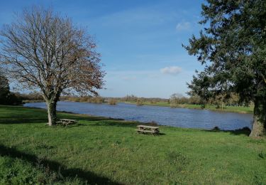 Tour Wandern Haute-Goulaine - Circuit des Marais  2 - Photo