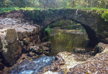 Trail Walking Théminettes - Theminette  - Photo