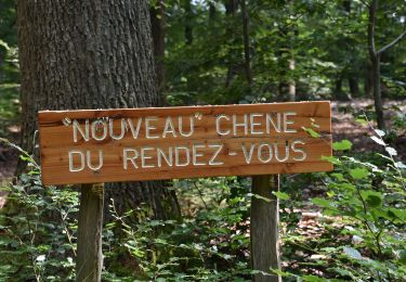 Percorso Marcia Baelen - 20210719 - Chêne du rendez-vous - 8 Km - Photo