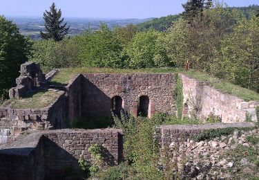 Percorso A piedi Herbolzheim - Bleichheim Hubertuswinkel - Vogtskreuz - Photo