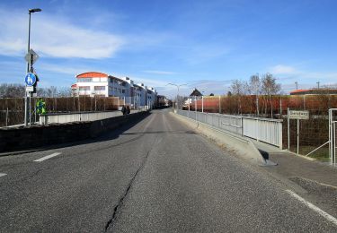 Tocht Te voet Windhagen - [W2] Windhagener Weg - Photo