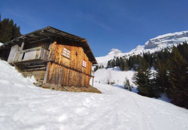 Randonnée Ski de randonnée Le Grand-Bornand - PT 2595au dessus du col des Verts - Photo