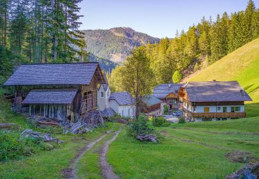 Tocht Te voet San Martin de Tor - San Martino in Badia - St. Martin in Thurn - IT-20B - Photo