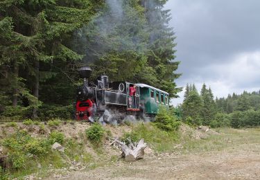 Excursión A pie  - Comandău  – Vf. Lăcăuți (yellow triangle) - Photo