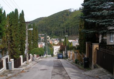 Excursión A pie okres Trenčín - Náučný chodník Čvirigovec - Photo