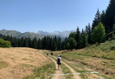 Tocht Stappen Verchaix - Plateau de Loex Myrtilles  - Photo