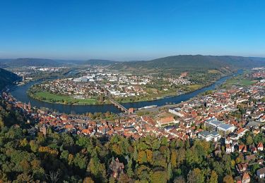 Randonnée A pied Miltenberg - Rundwanderweg Miltenberg 4: Steinerner-Weg - Photo