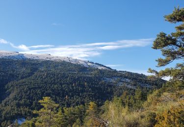 Randonnée Marche Moriez - moriez parrioune grau de courchons 906m 16.5kms - Photo