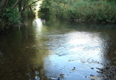 Tour Zu Fuß Amorbach - Rundwanderweg Amorbach Beuchner Berg 1: Aussichtsweg - Photo