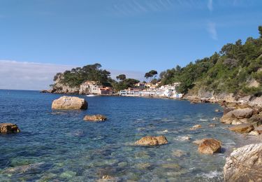 Randonnée Marche Toulon - mourillon chemin - Photo