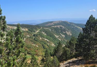 Trail Walking Vialas - mas de la barque - Photo