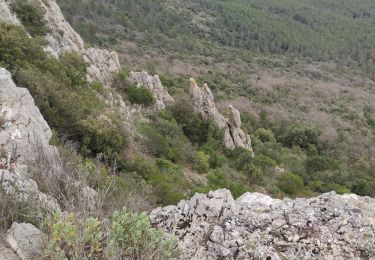 Randonnée Marche Belgentier - Les barres de Cuers départ de Belgentier - Photo