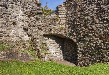 Tour Zu Fuß Ilanz/Glion - Rueun - Pigniu - Photo