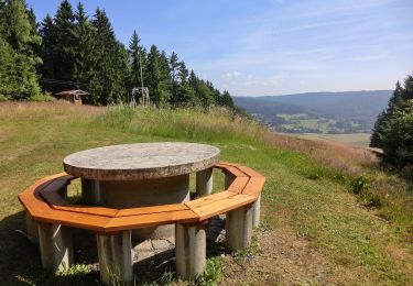 Tocht Te voet Immenreuth - Speichersdorf Rundwanderweg Nr. 7 