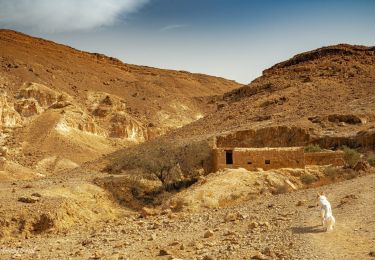 Excursión A pie מועצה אזורית ערבה תיכונה - דרך הבשמים - Photo