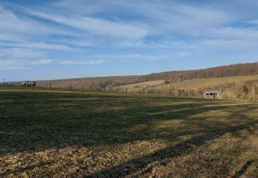 Trail Walking Ménesqueville - 20250304 Menesqueville - Photo