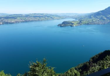Tour Wandern Stansstad - 2020-07-08 Burgenstock Suisse - Photo