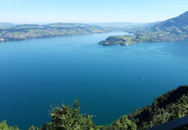 Trail Walking Stansstad - 2020-07-08 Burgenstock Suisse - Photo