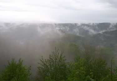 Excursión Senderismo Vresse-sur-Semois - GR16 SEMOIS 4 : de Membre à Monthermé (France) - Photo