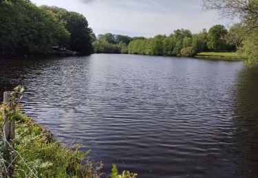 Tocht Stappen Chéronnac - Chéronnac - Photo