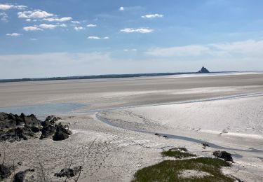 Percorso Marcia Genêts - Genêts - la pointe du groin sud - Photo