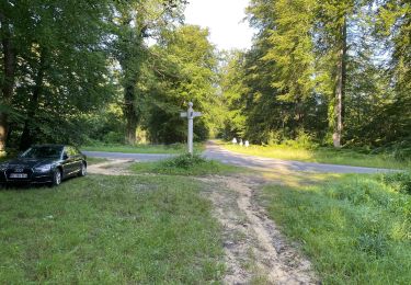 Tocht Stappen Rethondes - en forêt de Laigue_15_07_2021_autour du Mont du Fouilleux et du Mont des Singes - Photo