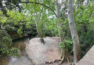 Tour Wandern Solliès-Ville - Domaine de la Castille 05.25 - Photo