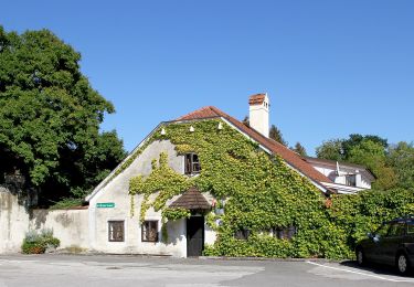 Excursión A pie Gemeinde Wieselburg-Land - Türkensturzrunde - Photo