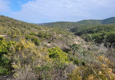 Trail Walking Roquebrune-sur-Argens - Massif flute - Photo