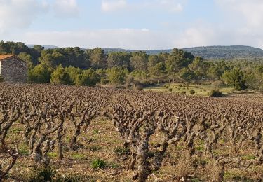 Tour Wandern Villeneuve-Minervois - boucle à Villeneuve Minervois  - Photo