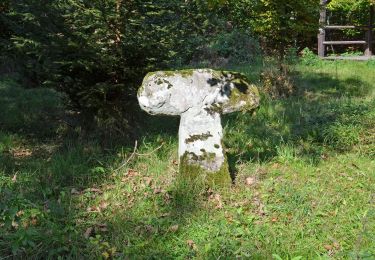 Randonnée A pied Löwenstein - WT4 Auf den Spuren von Dichtern und Denkern - Photo