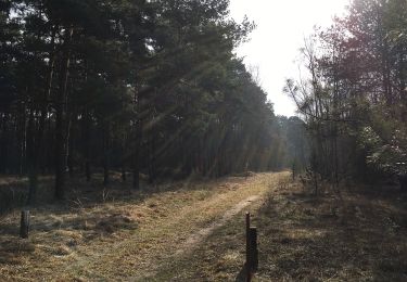 Tocht Te voet Nuthe-Urstromtal - Rundwanderweg Felgentreu - Photo