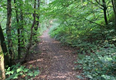Tour Wandern Raismes - Raidmes la marre à Goriaux et le terril - Photo
