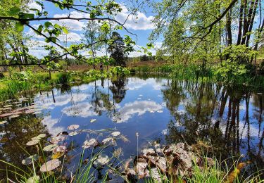 Tour Zu Fuß Buchholz in der Nordheide - Ho-Se Grüner Rundwanderweg - Photo