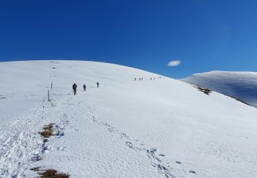 Tocht Stappen Mayrègne - Sommet d'Antenac EN BOUCLE - Photo