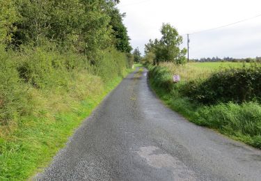 Trail On foot Roscommon Municipal District - Iath Ghlas - Photo